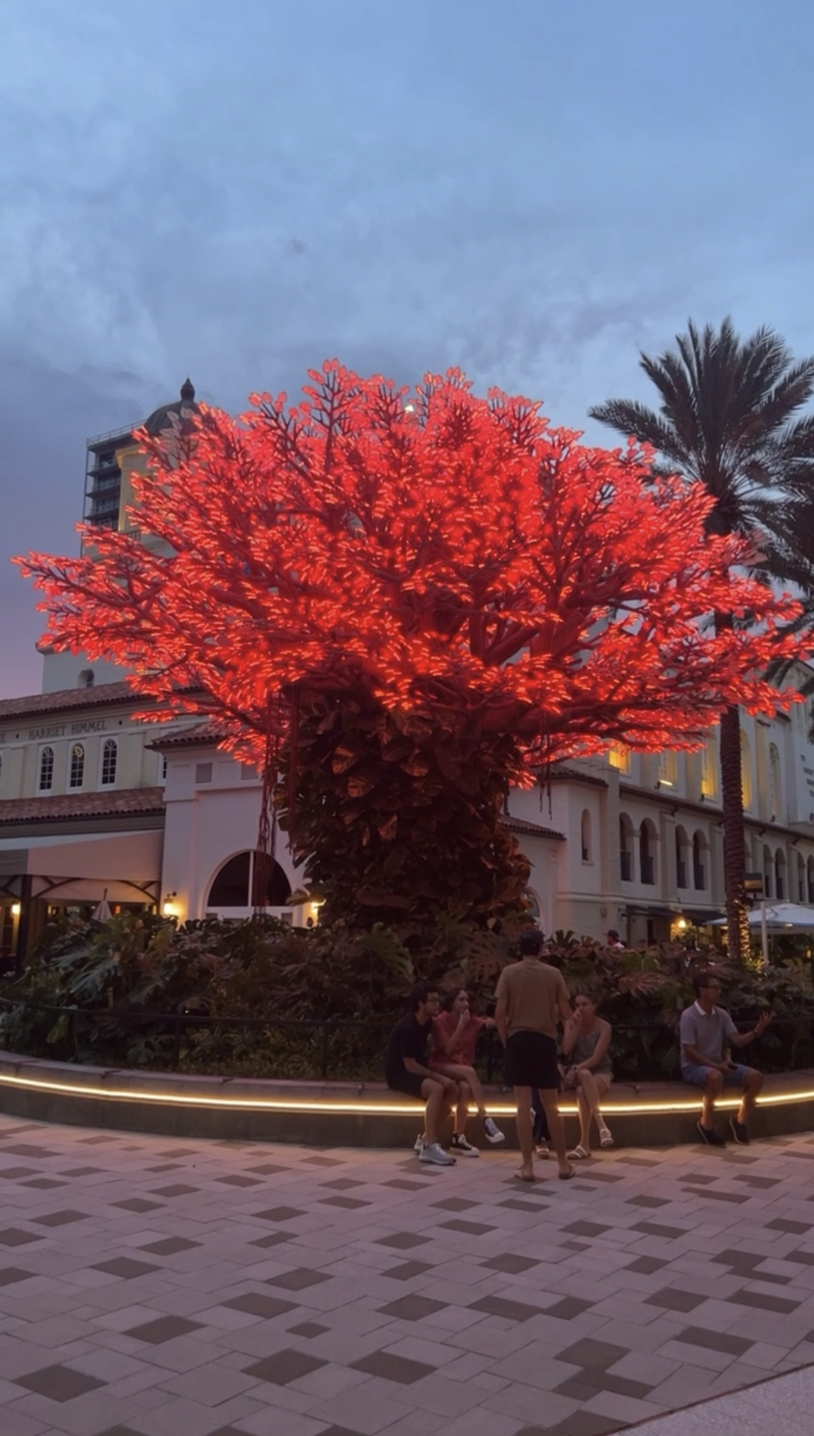 Wishing tree illuminates red for Path to College 