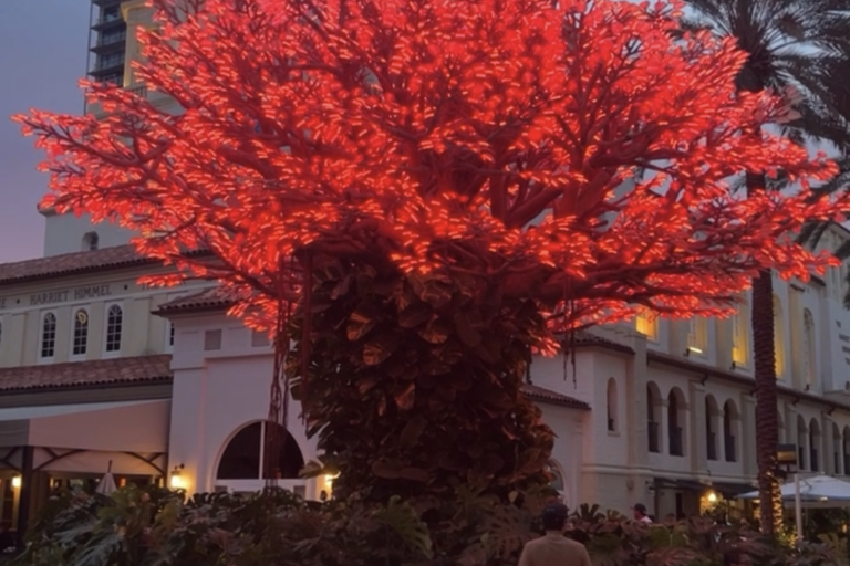 Wishing Tree illuminates red lights for Path to College