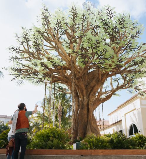 person pointing up at tree