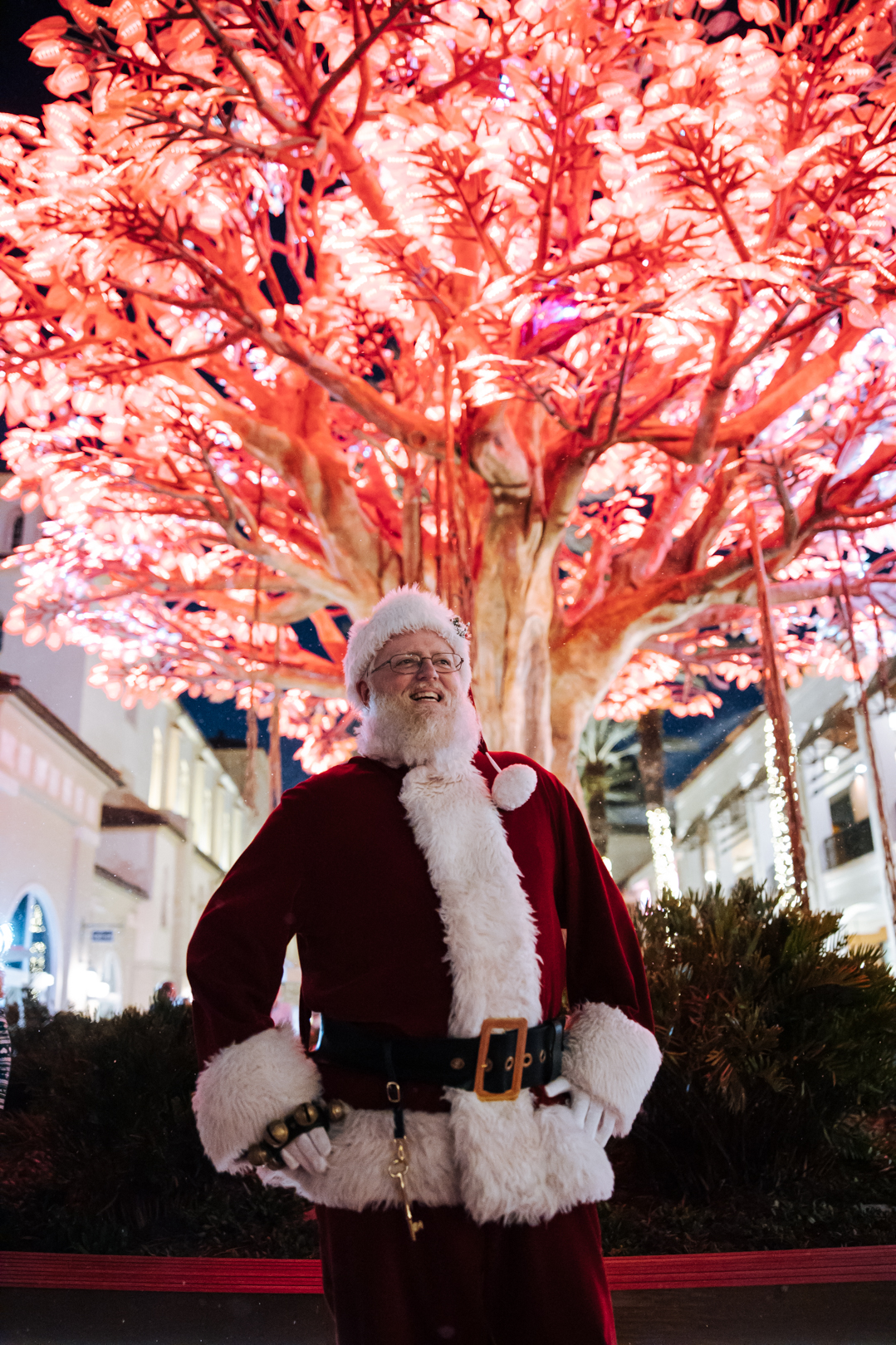 Santa under tree banyan tree