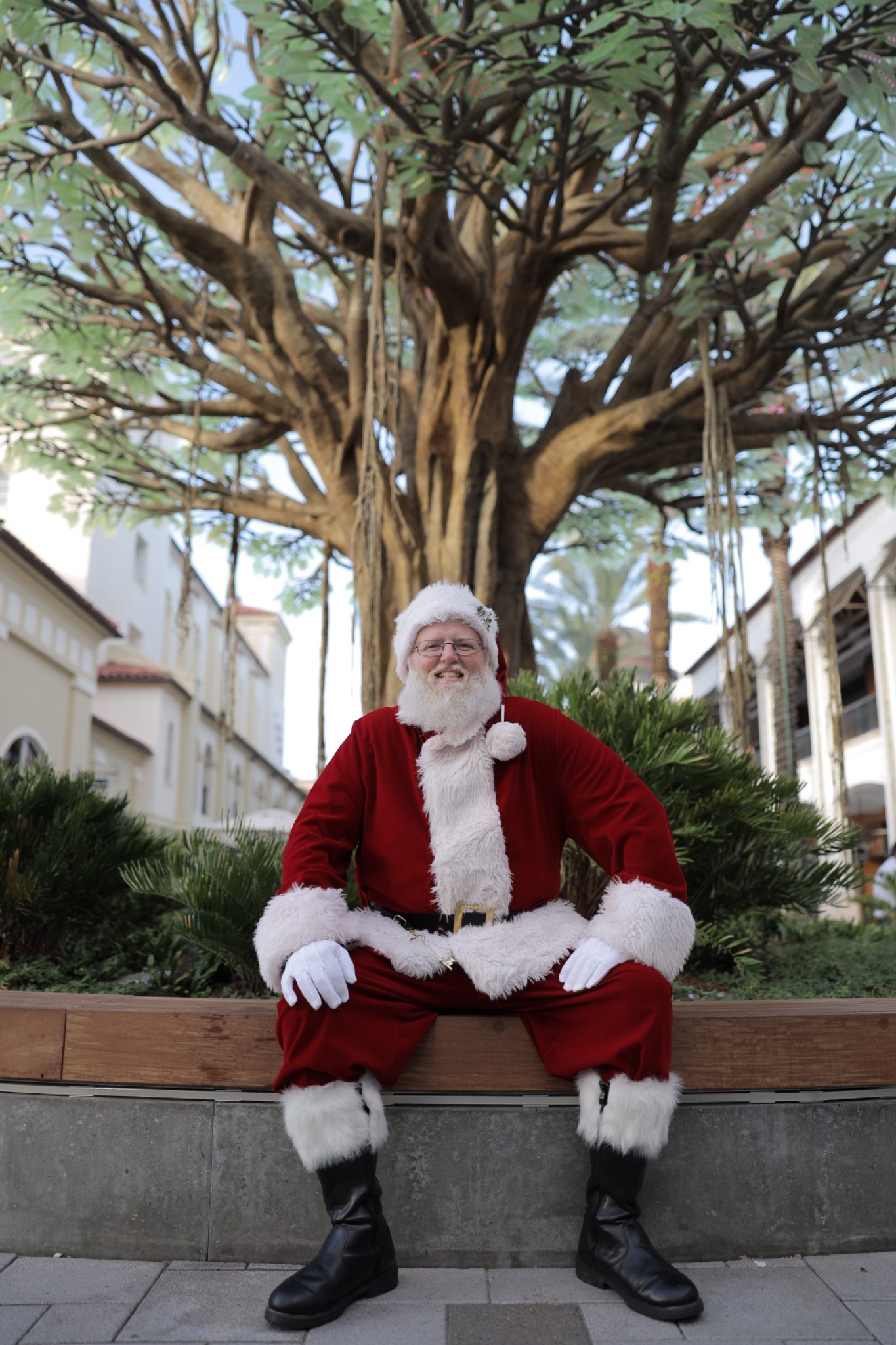 Santa under the Wishing Tree