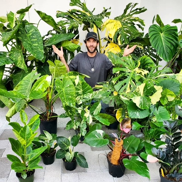 Man surrounded by house plants