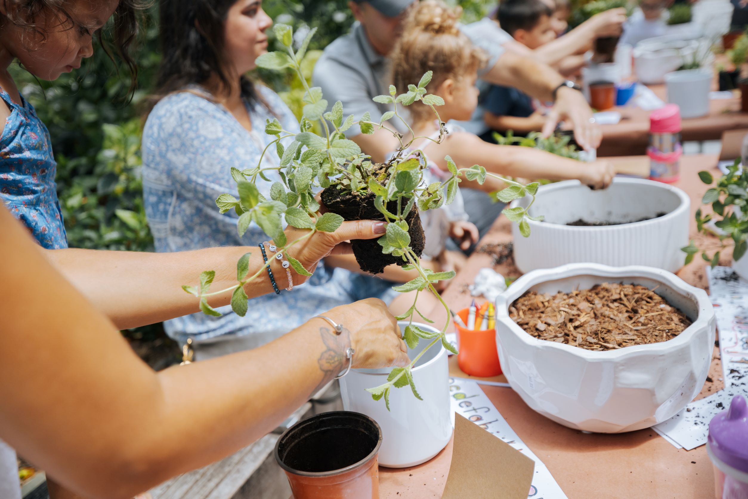 Individuals gathered around to pot plants
