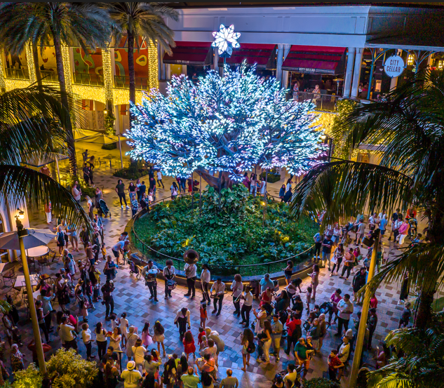 The Square Holiday Feedback