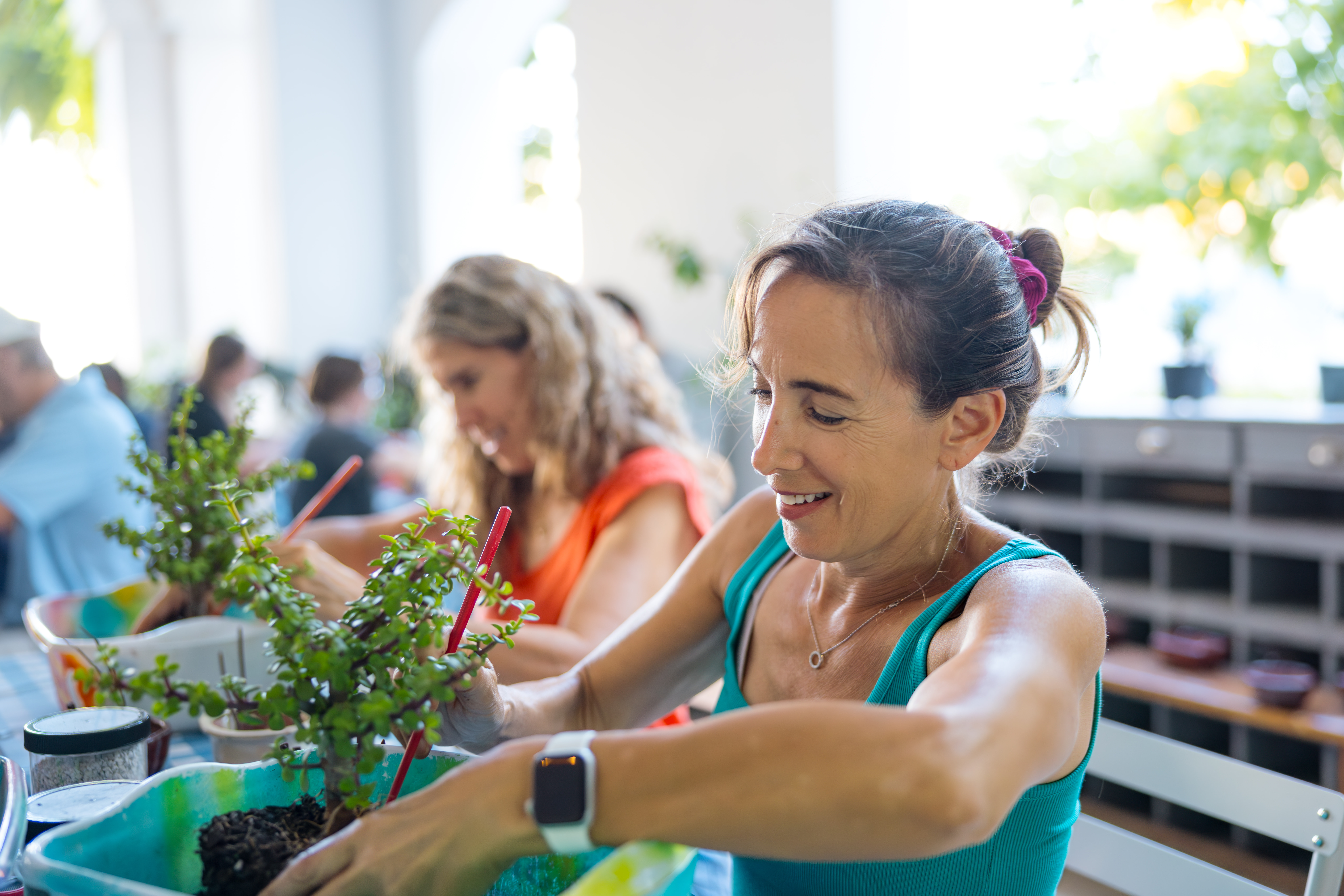 woman working on bonsai tree