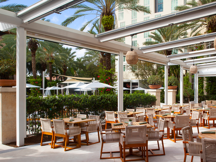 Mezze at The Hilton WPB