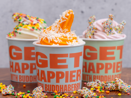 Frozen Yogurt BuddhaBerry