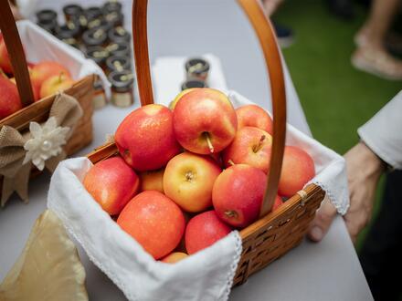 Apples in a basket