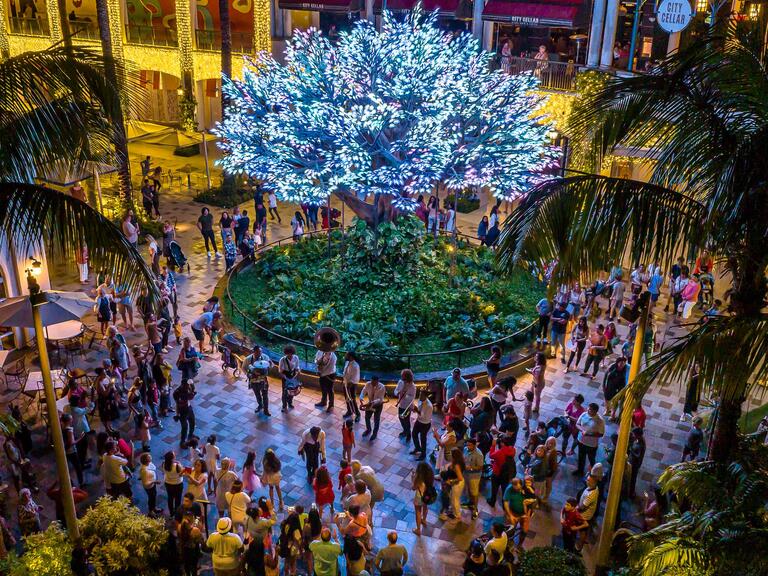 Wishing Tree at the Holidays