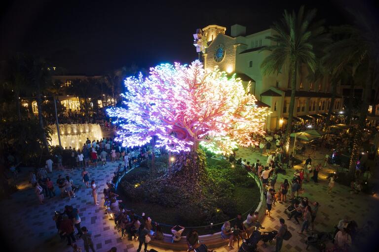 rainbow LED wishing tree 