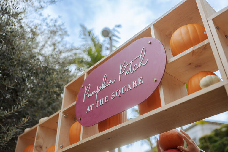 Pumpkin Patch at The Square