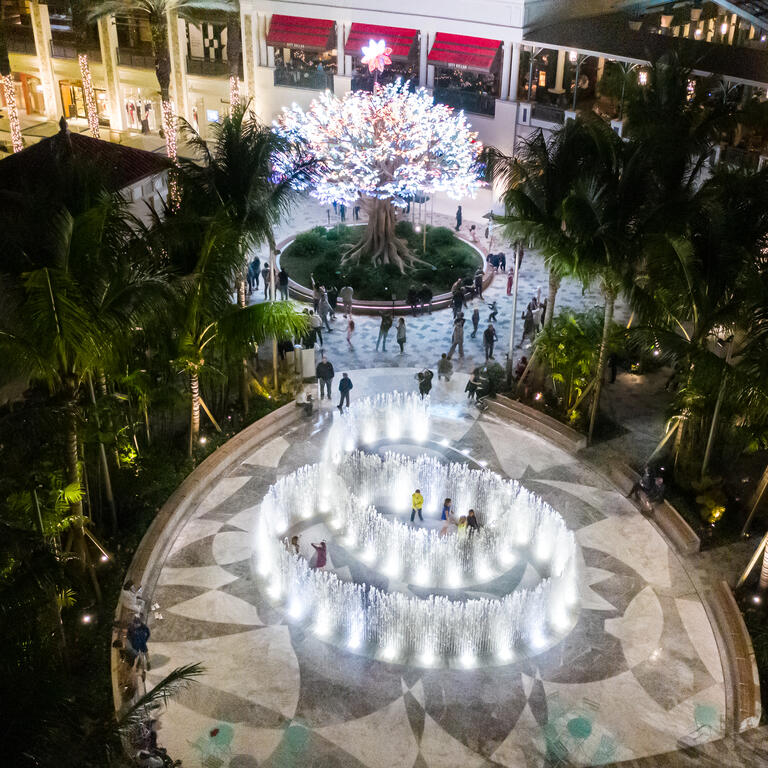 Water Pavilion Aerial