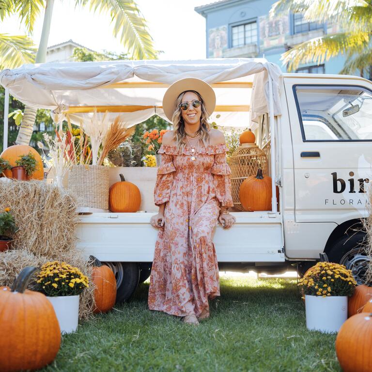 Pumpkin patch