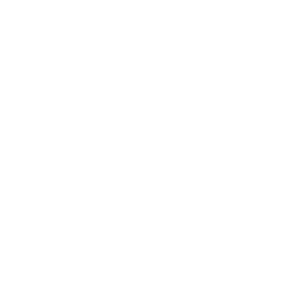 Bank of America Logo