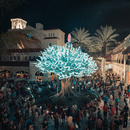 The Wishing Tree