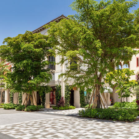 View of Rosemary Avenue