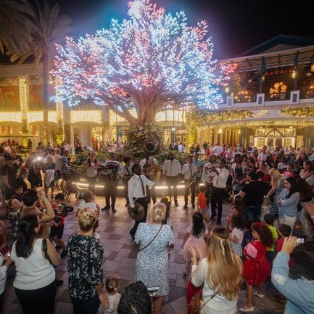 crowd gathers around wishing tree for holiday performance