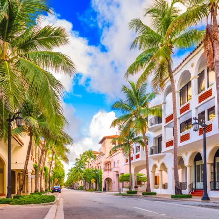 The Palm Beaches