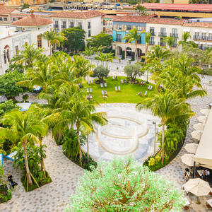aerial photo of lush green park and water fountain 